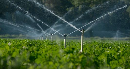 Agriculture Water Filter System