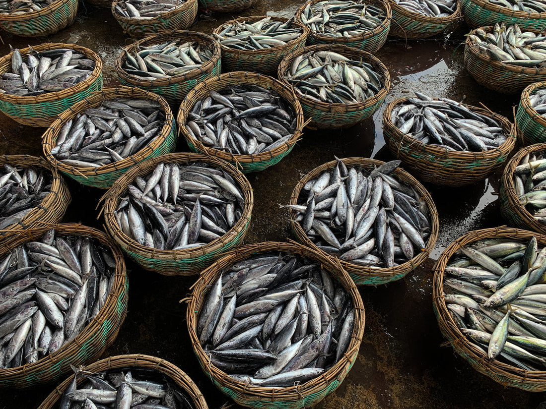 Fish in baskets ready to be sold at the market