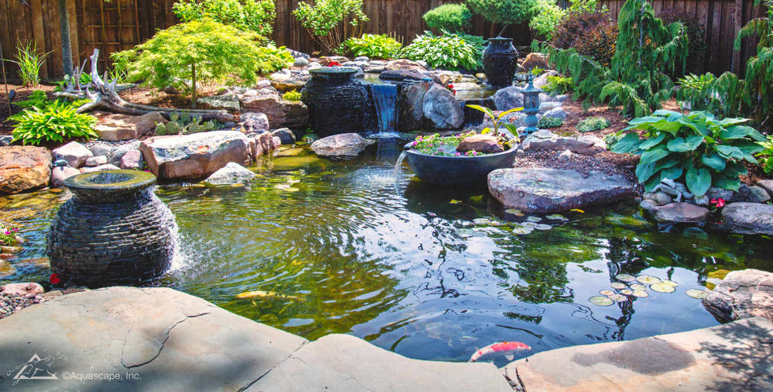 The Benefits of Building a Pond