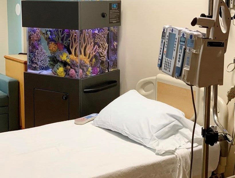 Mobile Aquatic Therapy