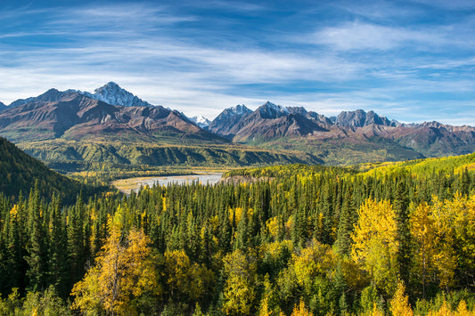 Off-grid mountain forest landscape with a lake