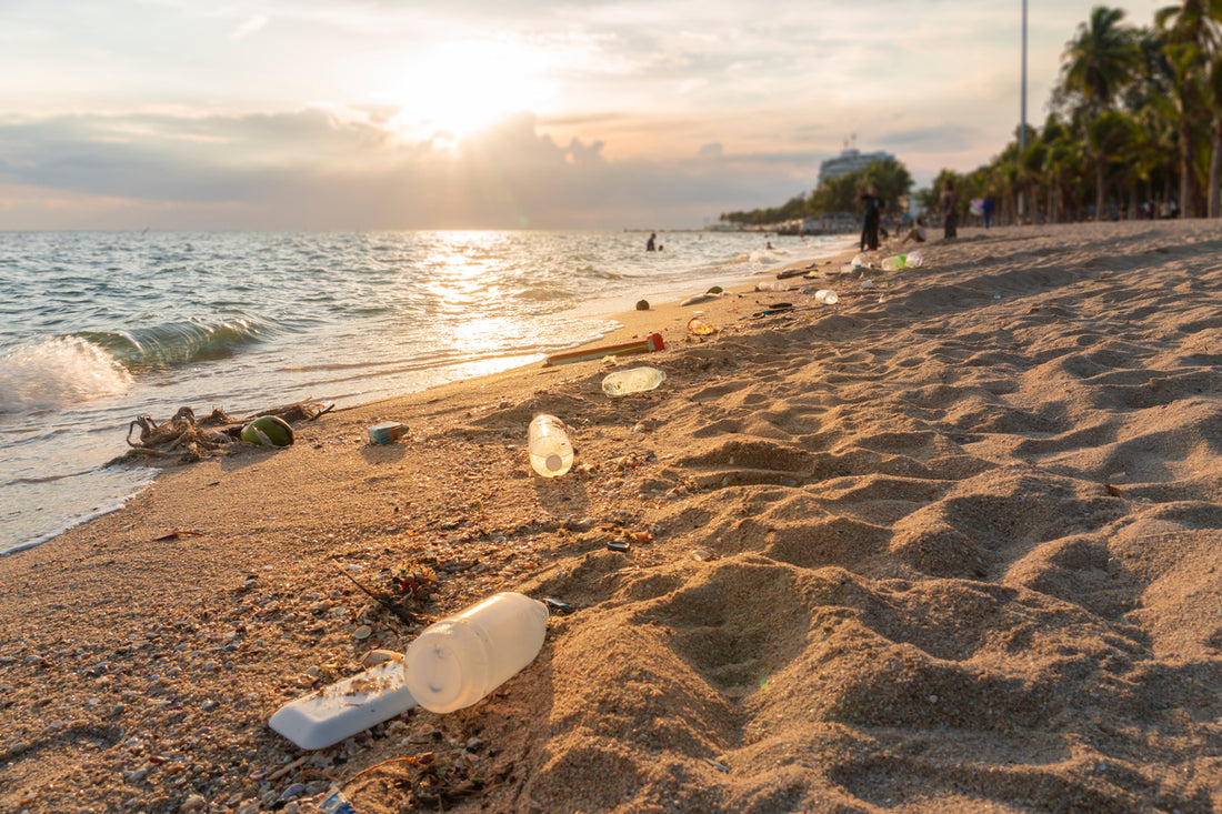 A beach with trash littered about being brought in from the ocean