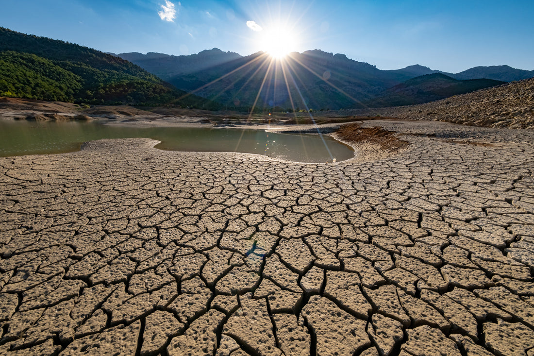 Landscape with mountains and forest in the distance with a dried up lake with dry and cracked earth surrounding it