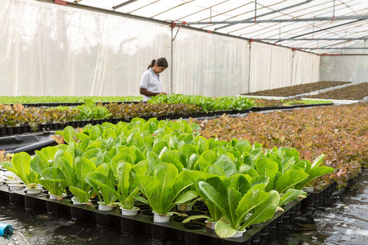 Aquaponics? What is that?