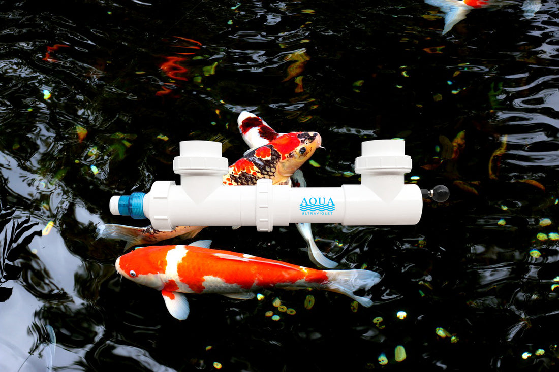 Aqua Ultraviolet - Classic Series UV Sterilizer