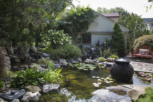 UV Sterilizers And Bio Mechanical Filtration For Backyard Ponds