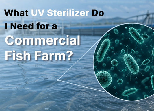 Commercial fish farm water with a magnified view of microorganisms, illustrating UV sterilization and water treatment for aquaculture.
