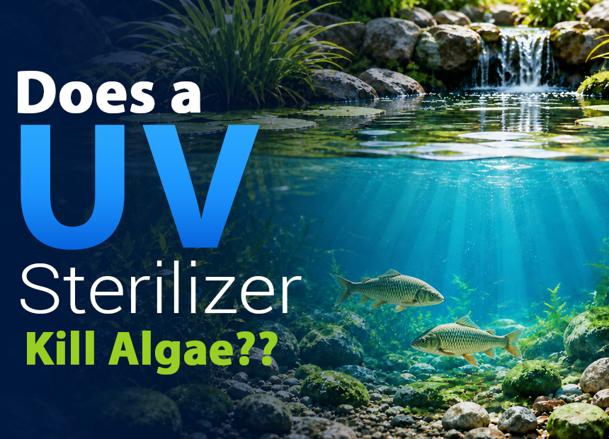 UV sterilizer connected to an aquarium filter system