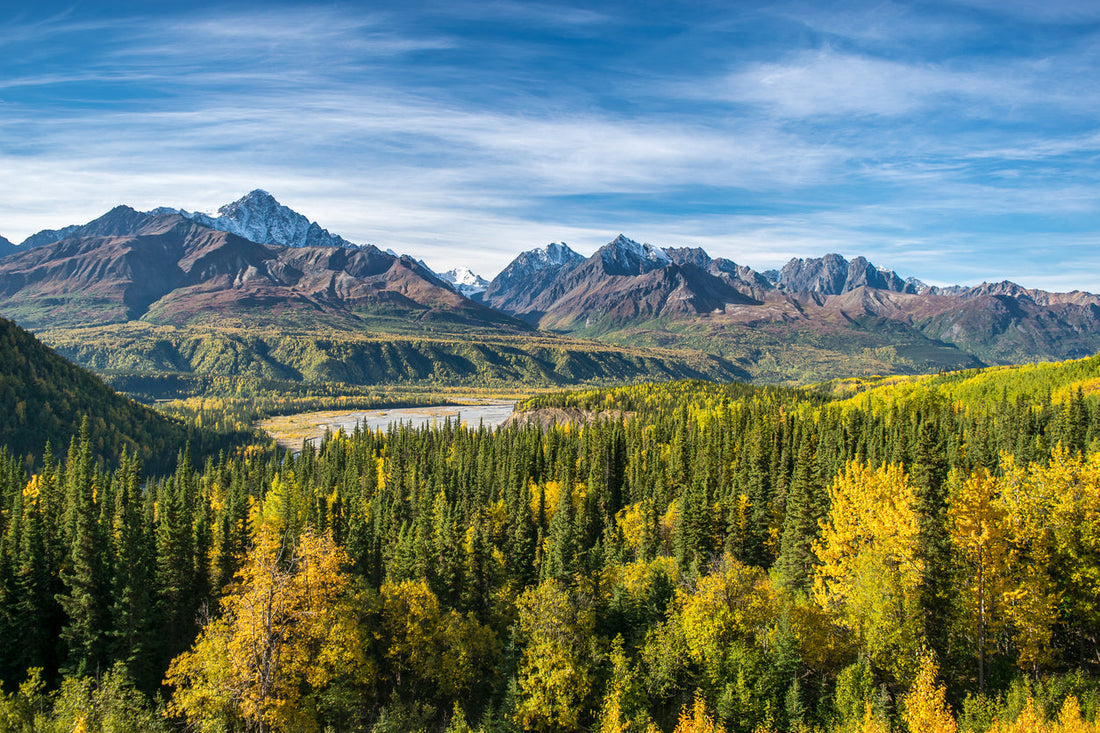 Off-grid mountain forest landscape with a lake