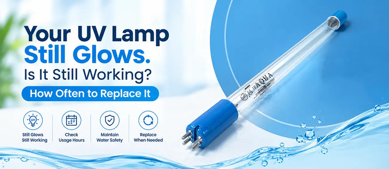 Your UV Lamp Still Glows. Is It Still Working? How Often to Replace It