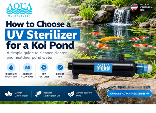 Aqua Ultraviolet UV sterilizer beside a clear koi pond, cover image for the guide on how to choose a UV sterilizer for a koi pond