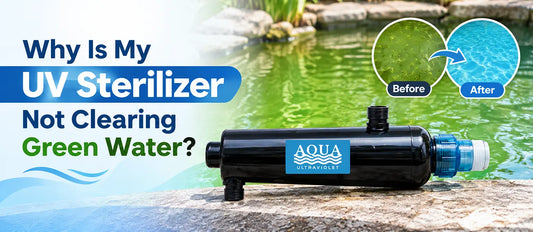Why Is My UV Sterilizer Not Clearing Green Water? 7 Common Causes