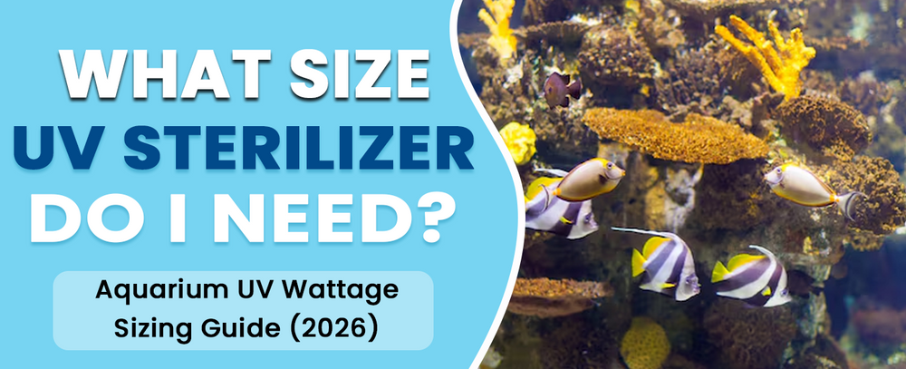 What Size UV Sterilizer Do I Need? Aquarium UV Wattage Sizing Guide (2026)