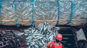 Overfishing: An Environmental Problem