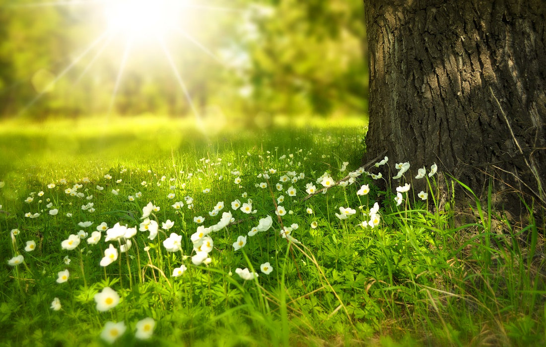 Safety Tips for Staying Cool during the Summer