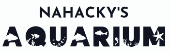 Reseller Name