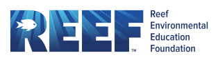 Reseller Name