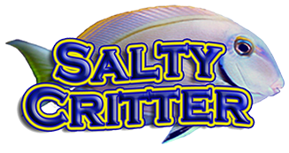 Reseller Name