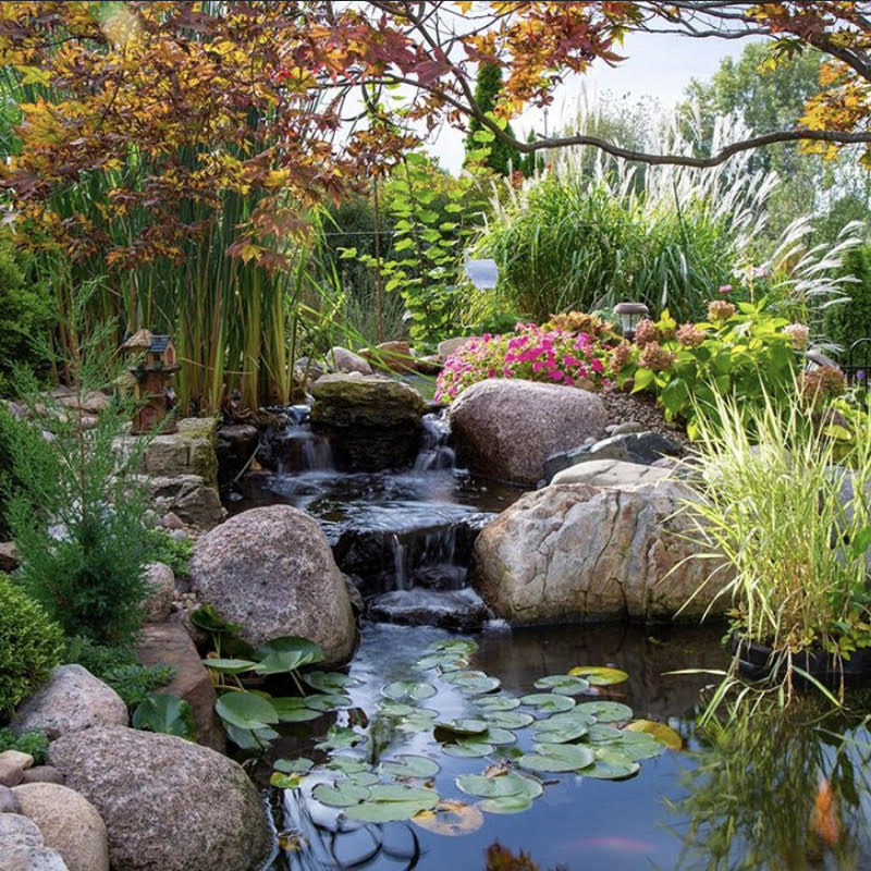 The Benefits of Building a Pond | Pond Water Purification System