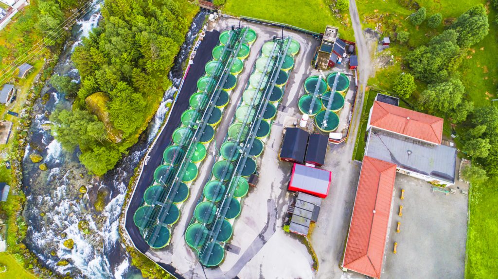 Commercial Water Filtration Systems in Salmon Farming