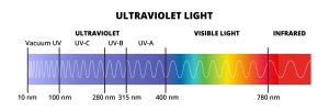 Black Light vs UV Light