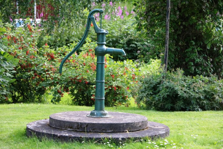 A hand pump to a well in a luscious garden
