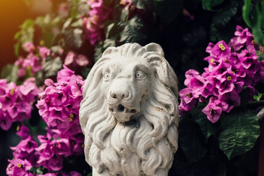 A concrete lion statue settled artistically within a bush with clustered pink flowers